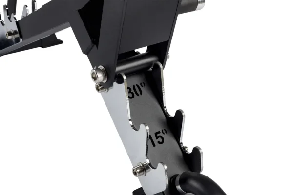 Adjustable bench Beast - Colour: Custom color