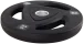 Olympic Tri-Grip Plate - Weight: 10 kg