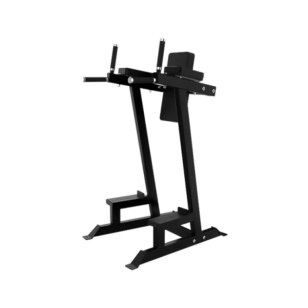 Leg Raise/Dip Tower - Farbe: Freiwählbare Farbe