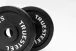 Cast iron weight plates: 5 - 25 kg - Gewicht: 10 kg