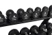 Truesteel TPU dumbbells - Gewicht: 42,5 kg to 50 kg