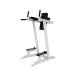 Leg Raise/Dip Tower - Farbe: Freiwählbare Farbe