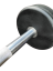 Polyurethane straight biceps barbell - Weight: 22.5 kg