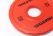 Steel fractional plates - Weight: 1 kg - logo TRUESTEEL