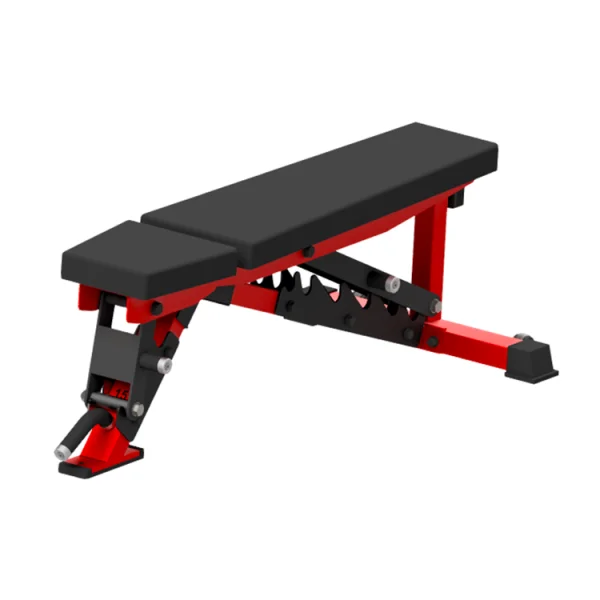 Adjustable bench Beast - Colour: Custom color