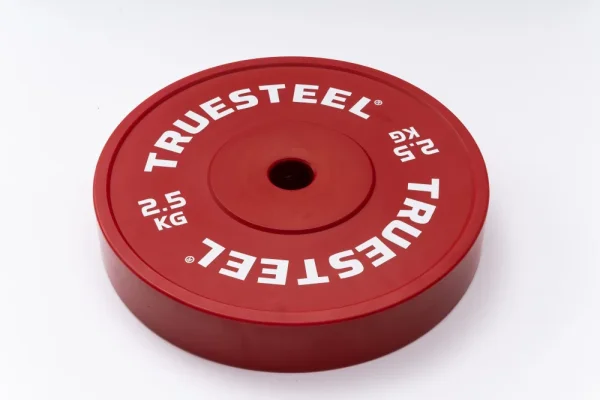 Technique plates 2.5 kg