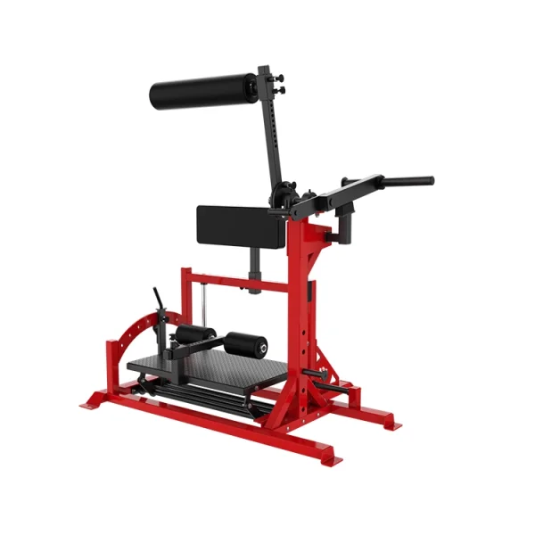 Posterior Chain Developer - Colour: Custom color