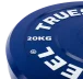 Coloured Bumper Plates - Weight: 15 kg - no logo
