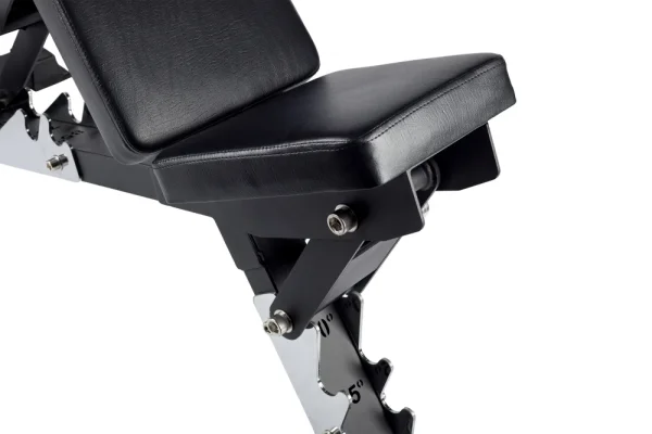 Adjustable bench Beast - Colour: Custom color