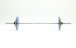 Training Olympic Bar