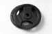 Cast Iron Tri-Grip Plates 30 mm - Weight: 2,5 kg