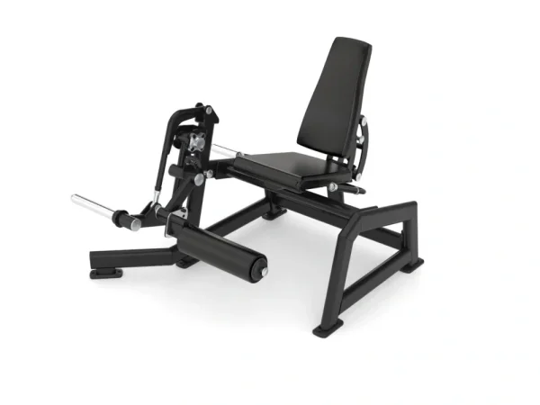 Leg Extension
