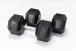 TrueGrip Hexagon Dumbbells 50 kg - 70 kg - Gewicht: 55 kg