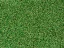 Gumová podlaha s umělou trávou do posilovny