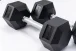 TrueGrip Hexagon Dumbbells 50 kg - 70 kg - Gewicht: 55 kg