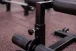 Sissy Squat Bench