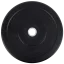 Černé bumper kotouče - Váha: 20 kg - logo TRUESTEEL