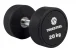Truesteel TPU dumbbells - Gewicht: 20 kg