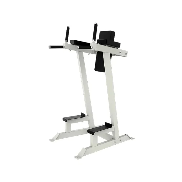 Leg Raise/Dip Tower - Farbe: Freiwählbare Farbe