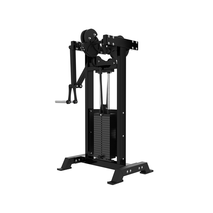 Standing Lateral Raise Machine - Farbe: Freiwählbare Farbe