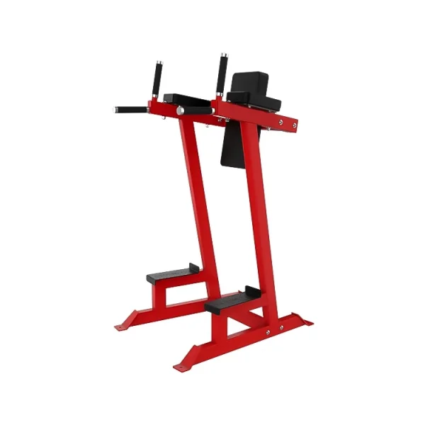 Leg Raise/Dip Tower - Farbe: Freiwählbare Farbe