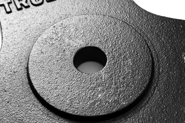 Cast Iron Tri-Grip Plates 30 mm - Weight: 2,5 kg
