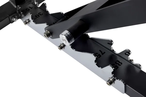 Adjustable bench Beast - Colour: Custom color