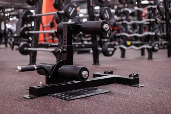 Sissy Squat Bench - Farbe: Freiwählbare Farbe