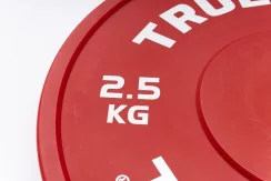 Technique plates 2.5 kg