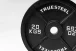 Cast iron weight plates: 5 - 25 kg - Gewicht: 10 kg
