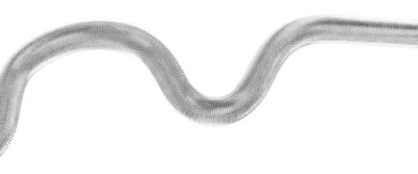 Speciálně zakřivená nakládací osa - Extra curl bar
