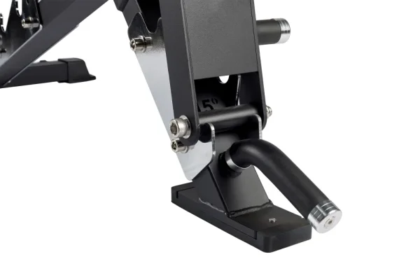 Adjustable bench Beast - Colour: Custom color