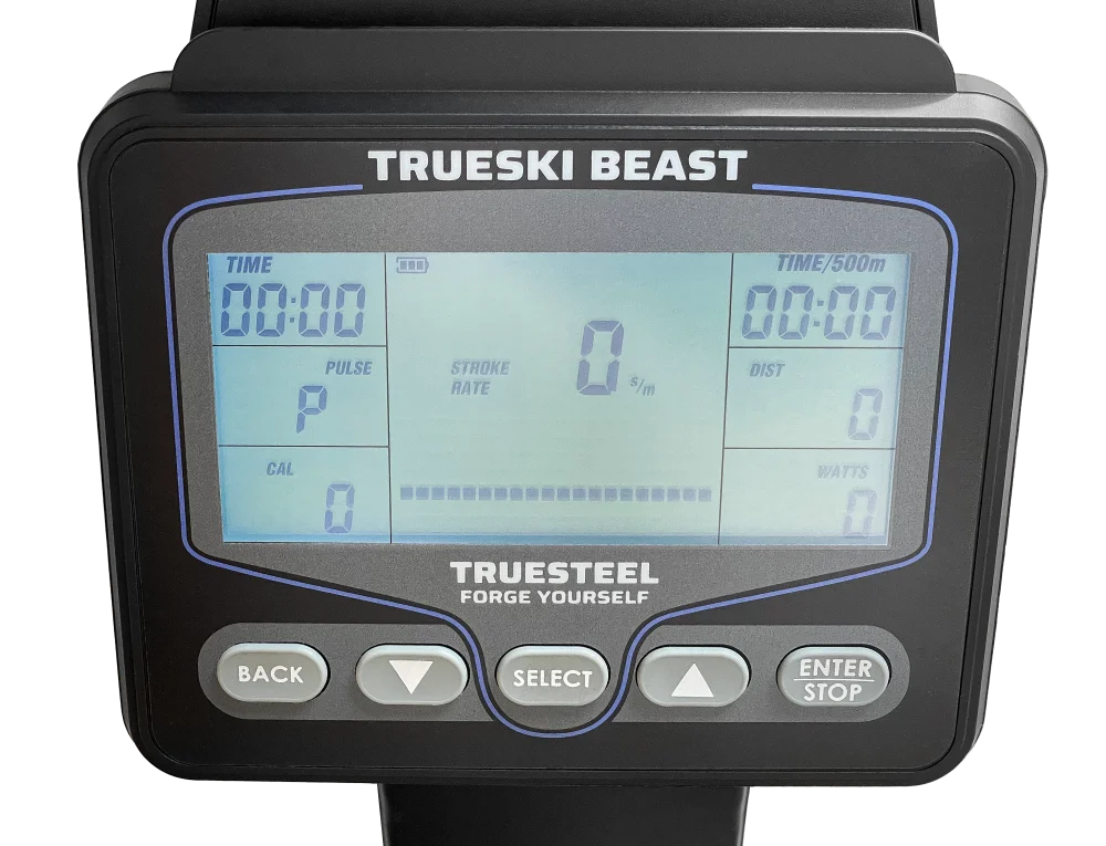 TrueSki Beast display